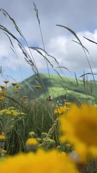 ������ ����!. ������� ������������� ���� ��������� ����� ������������ � ��� ���� �������� ������� ����� ���������� (1788 � 1860) � ������� ����� ������ (1975)