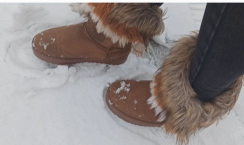 ��� �������� ������ ���� �� ����: 3 ������� �������� ��� �����