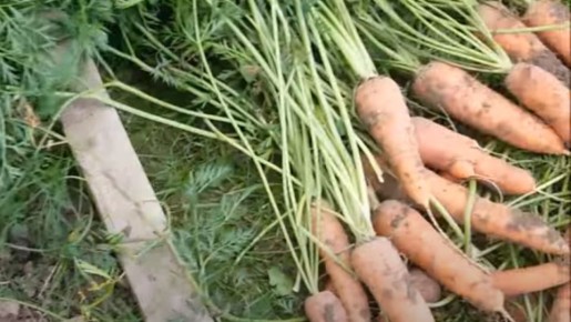 ��� ������� ���������� ������� ��� ������ ������