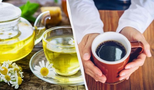 Что выбрать: кофе или чай? Диетолог делится секретами
