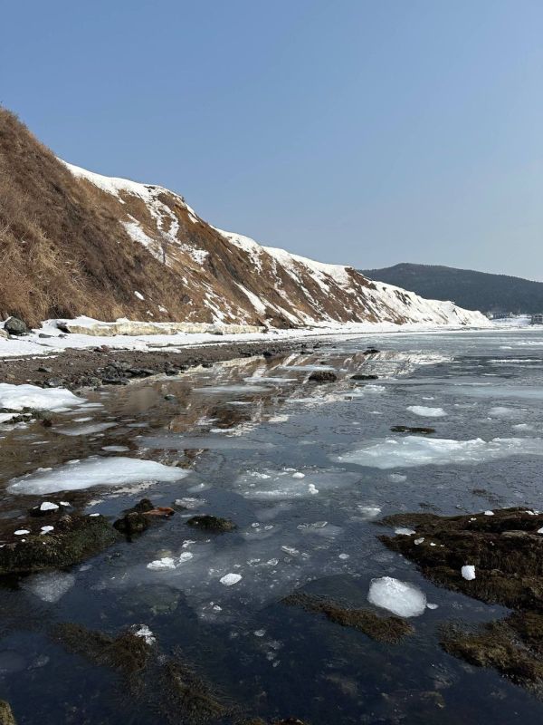Прибрежное Пригородное. В последний понедельник зимы ставьте лайк этим напоминаниям о лете! @poputchiza_sakhalin ———