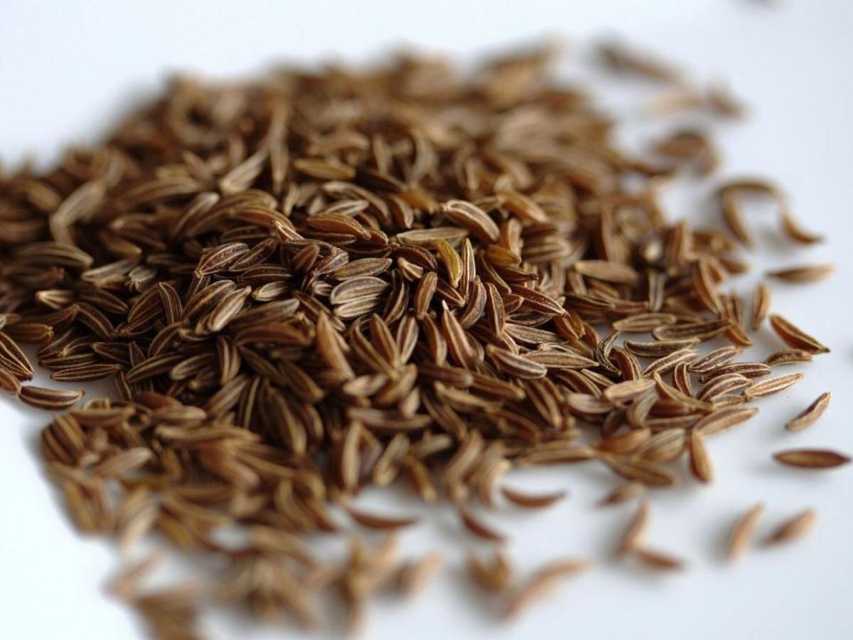 ����: ������� �������� � �������� ���