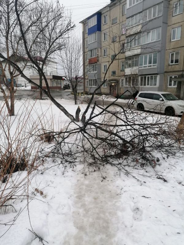 #��������. � 9 ����������� ����-���������� ������ �������� ������