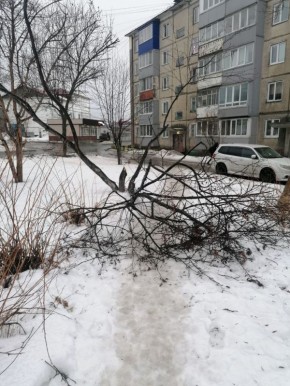 #��������. � 9 ����������� ����-���������� ������ �������� ������