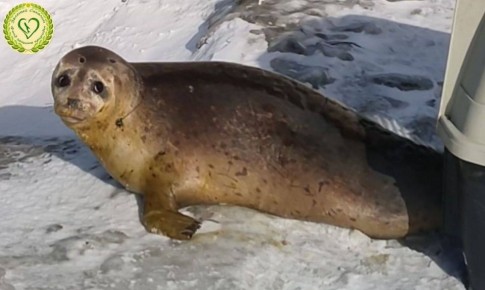 �������������� �� ���� ������ ������ �� ��������