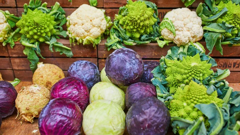 �������: �� ���������� ������ �� ������ �������