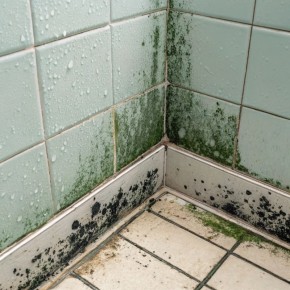 ������ � ������: ������� � ������� ������