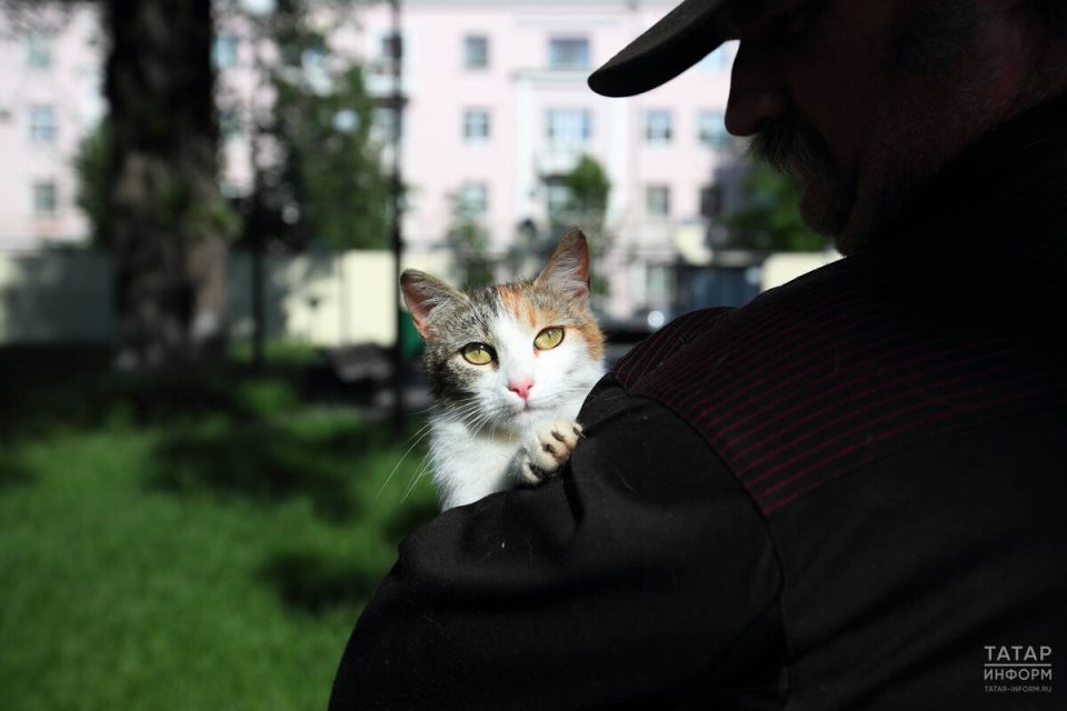 Депутаты Госдумы выступают за запрет использования домашних животных как залога