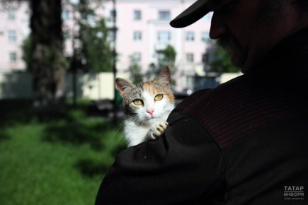 �������� ������� ��������� �� ������ ������������� �������� �������� ��� ������