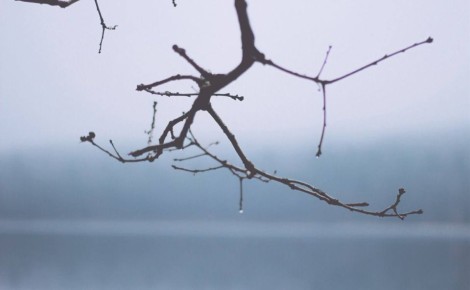 Ветер до 28 м/с, осадки, гололедица: уточнённый прогноз для Сахалина на 23 февраля