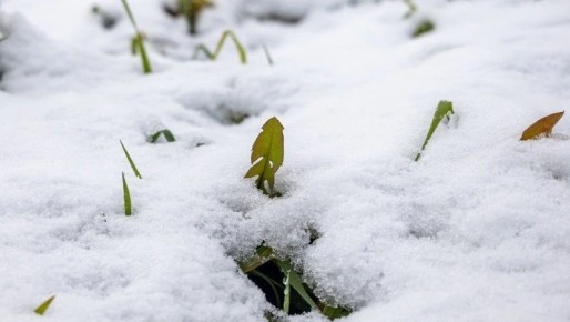 Снег, ветер и дожди придут в Сахалинскую область