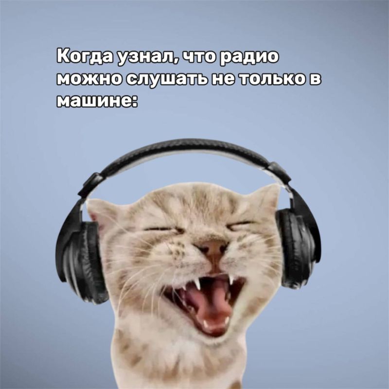 �������� �����?. �� ��, �� ������ � ������ ��� � ��� ��� �����? ���