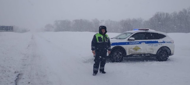 Сводка Госавтоинспекции с 20 по 23 февраля 2026 года