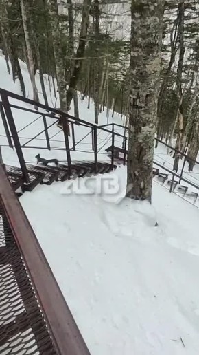 �������� ����������� ���������� ��������� �������� �� �������� � ������� �������