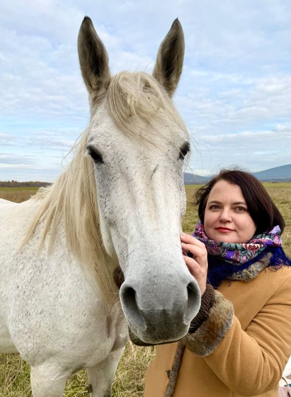 ������� ����������� ������� �������� ������������ ����� �� ����� ����������� ������������ ������� ���������