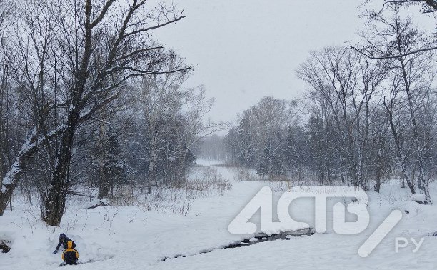 Ветер усилится до 16 м/с на побережьях: актуальный прогноз погоды на юге Сахалина на 24 февраля