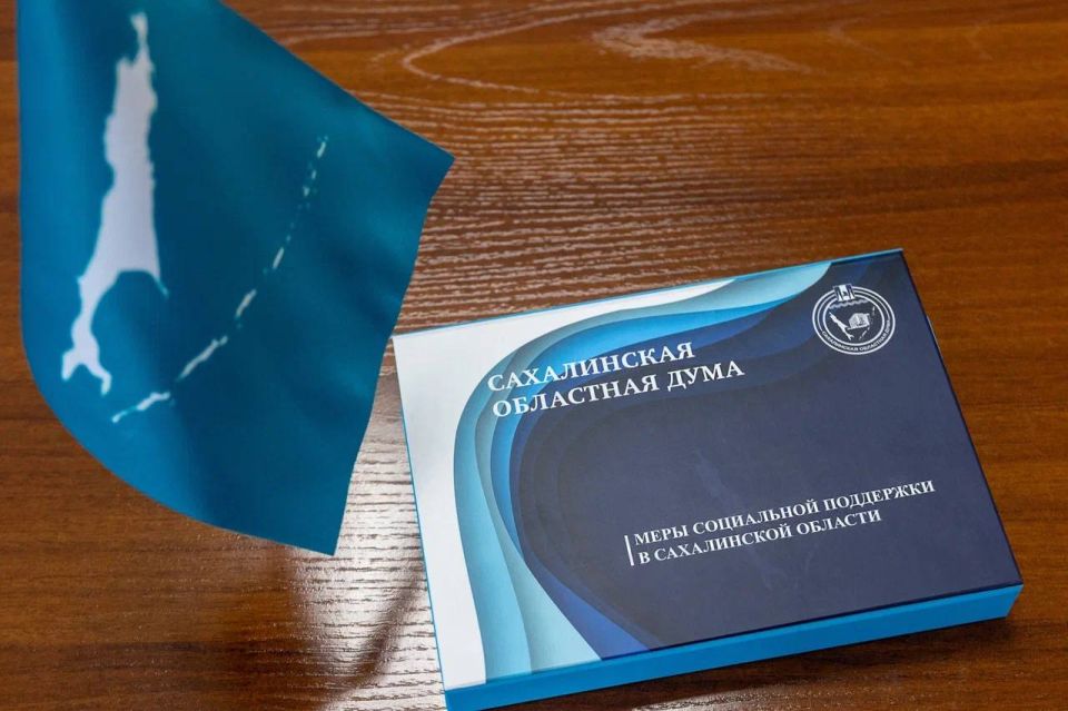 Елена Касьянова представила коллегам-дальневосточникам сахалинский «Навигатор мер социальной поддержки»