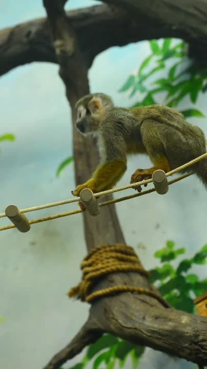 ������� ��������. ��������� ��������� �� ����� ������� �������