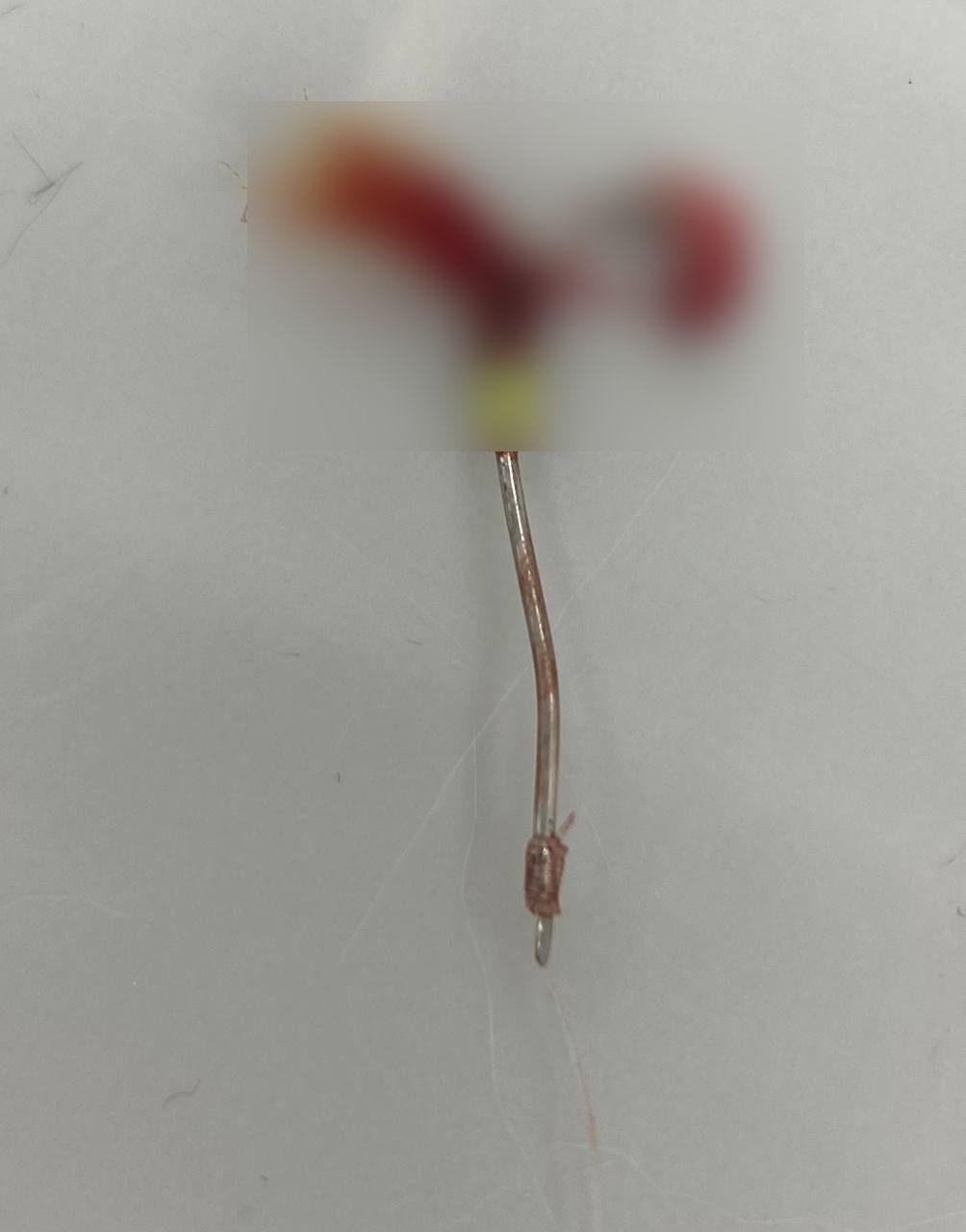 Любопытство довело рыжего котика на Сахалине до ветклиники Любопытство довело рыжего котика на Сахалине до ветклиники