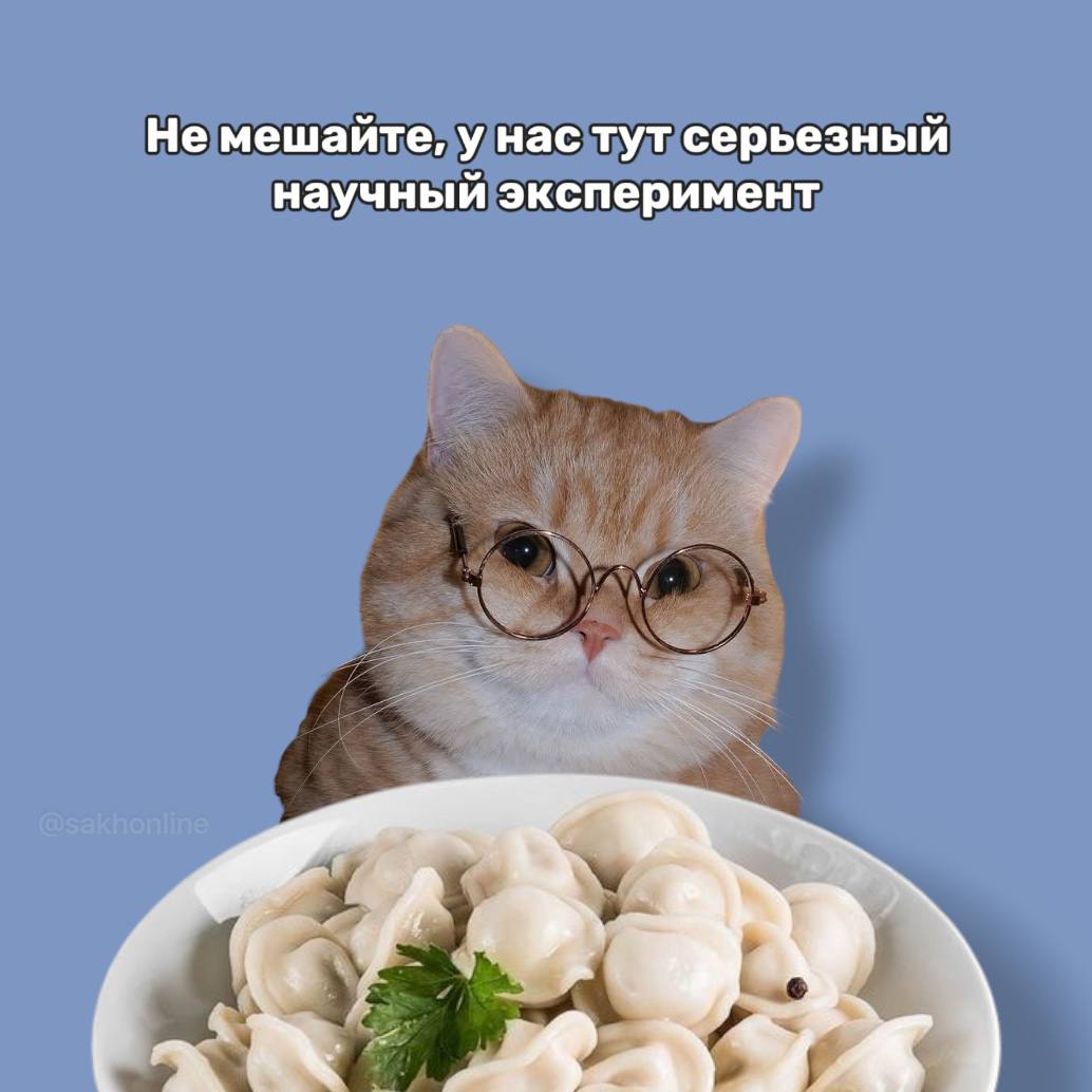 Первая в России научная книга о пельменях выйдет в 2027 года