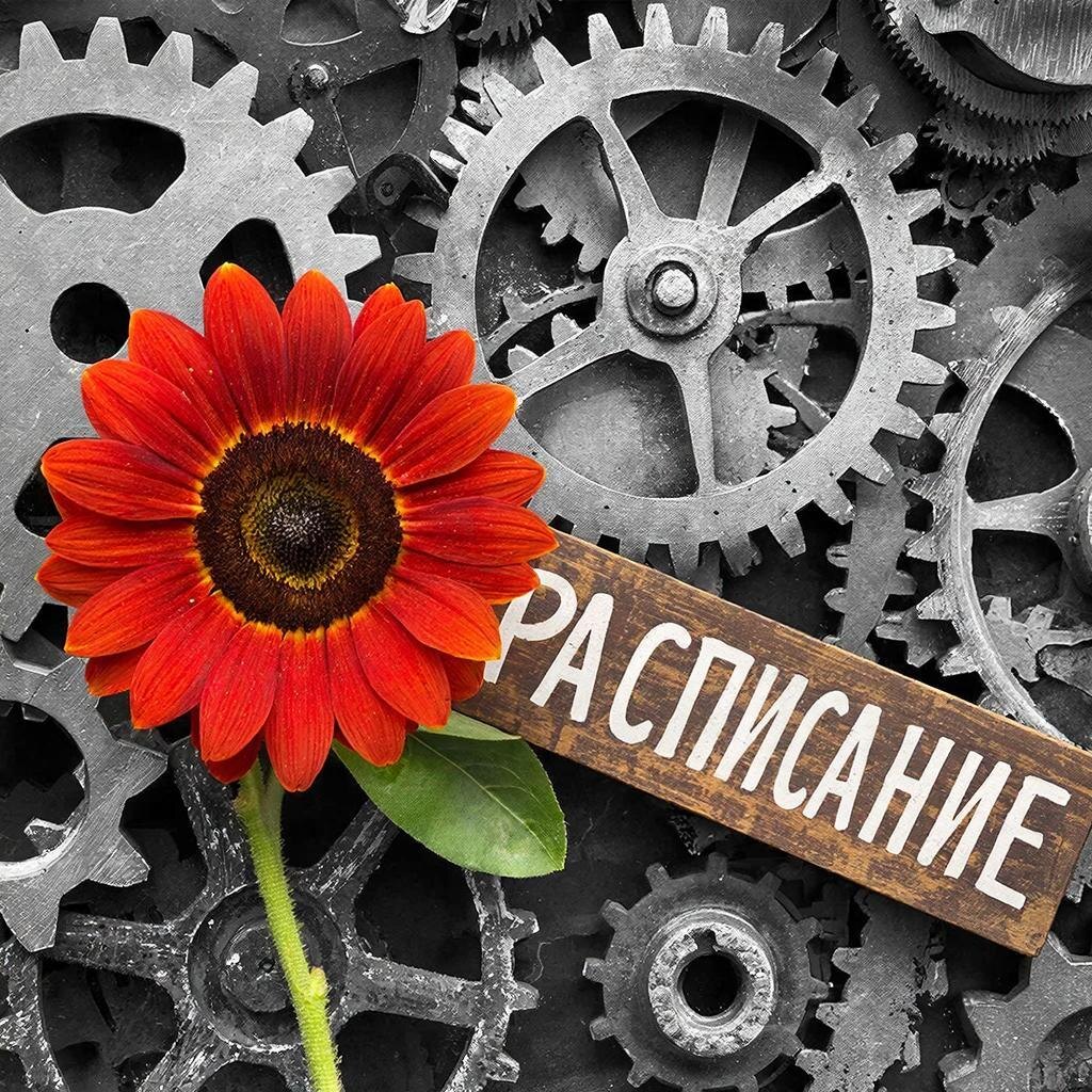 Почему мы откладываем свои мечты на пенсию и как это изменить