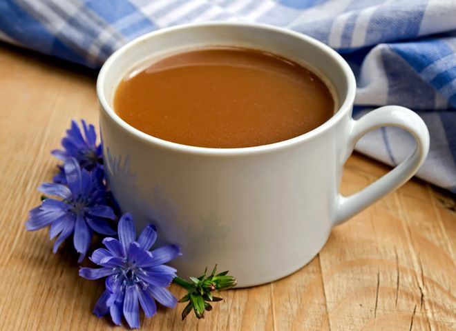 Цикорий: когда он может стать опасным для вашего здоровья
