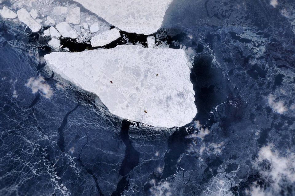 � ������ ���������� ������ ������� ���������� ������� ������