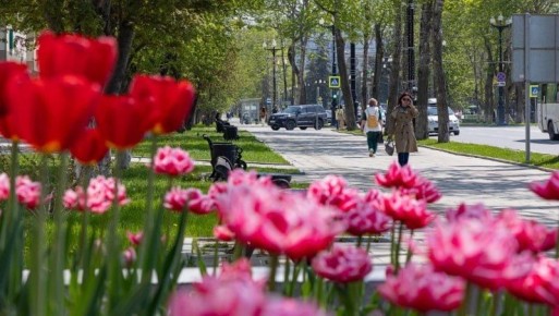 ������� ������������� ��������������� ������� �� ������� ������ 2026 ����