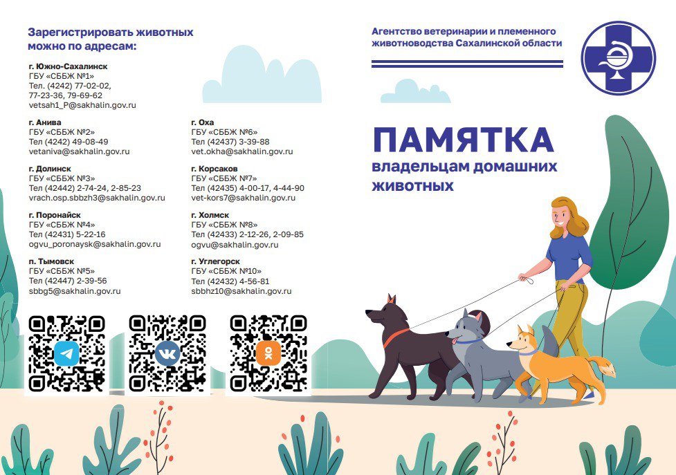 Самовыгул запрещен, необходима регистрация: сахалинцам напомнили о правилах содержания домашних животных