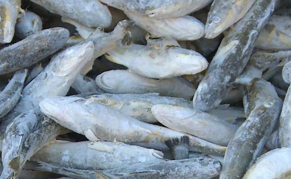 � ����-���������� � ������������� ������� ������� ����� �� �������� ����: ��� ������