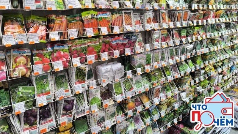 ��� ������� ������ ������ � 2026 ����: ����-��������� ������ Wildberries � Ozon