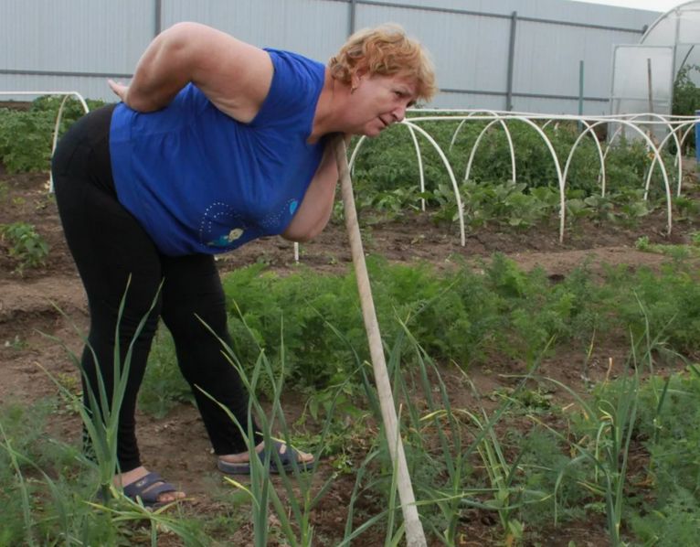 ������� �� ����: ��� ������������ ���� � ��������