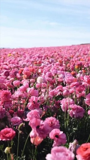 Доброе утро!. Сегодня всемирный день неторопливости В этот день родились революционерка Надежда Крупская (1869 — 1939), актер Евгений Жариков (1941 —2012 ), художник и скульптор Гавриил Шульц (1903 — 1984), писатель Виктор...