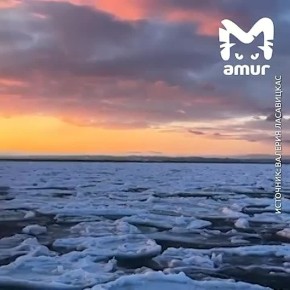 Лёд в море превратился в блинчики на Сахалине