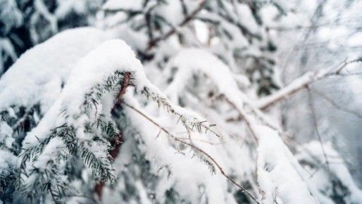 Морозы до -28 градусов и снег