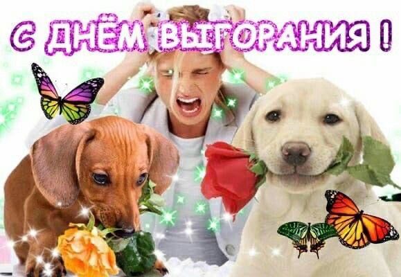 �� �����-������ ������������ � ���������� �� ������?