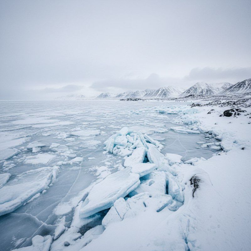 ���������� ������������ � ���������� ������ �� ���-������� �������