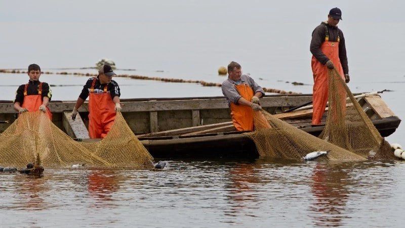 � ����� ��� ���? �� ��������� ����������������� ������ �������� ������� �������� ������