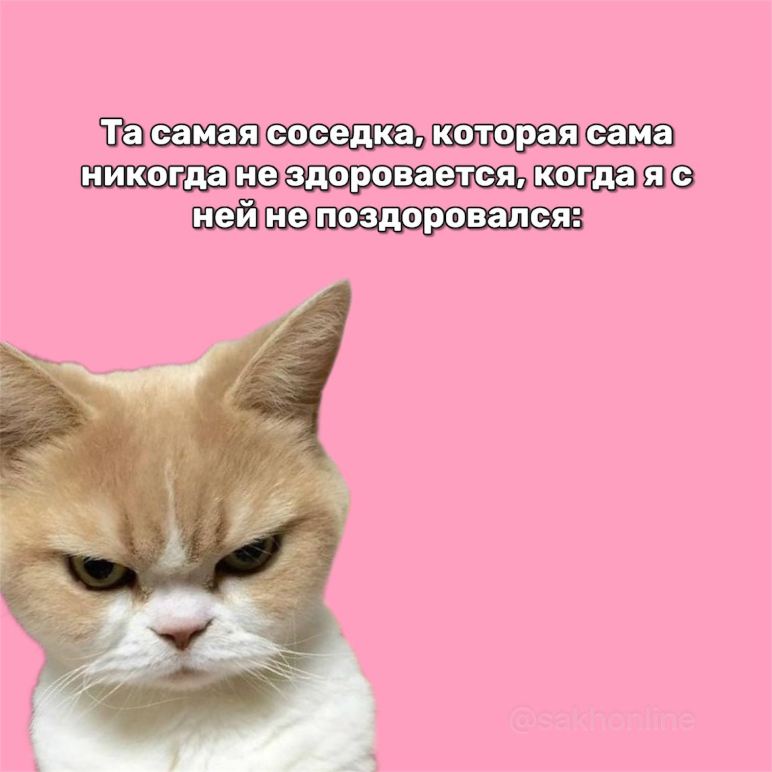 По данным опроса Авито Недвижимость, 57% дальневосточников не имеют близких отношений с соседями, чаще всего они просто здороваются и лишь изредка общаются, когда пересекаются (например, в подъезде)