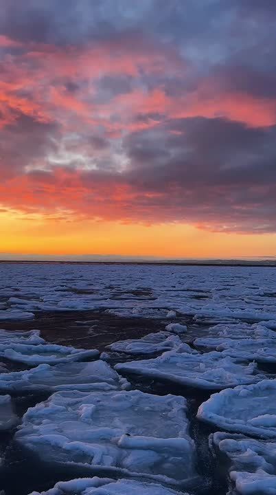 ������ ����. 27 ������� � ���� �������� ������������� ���� ��������� �������