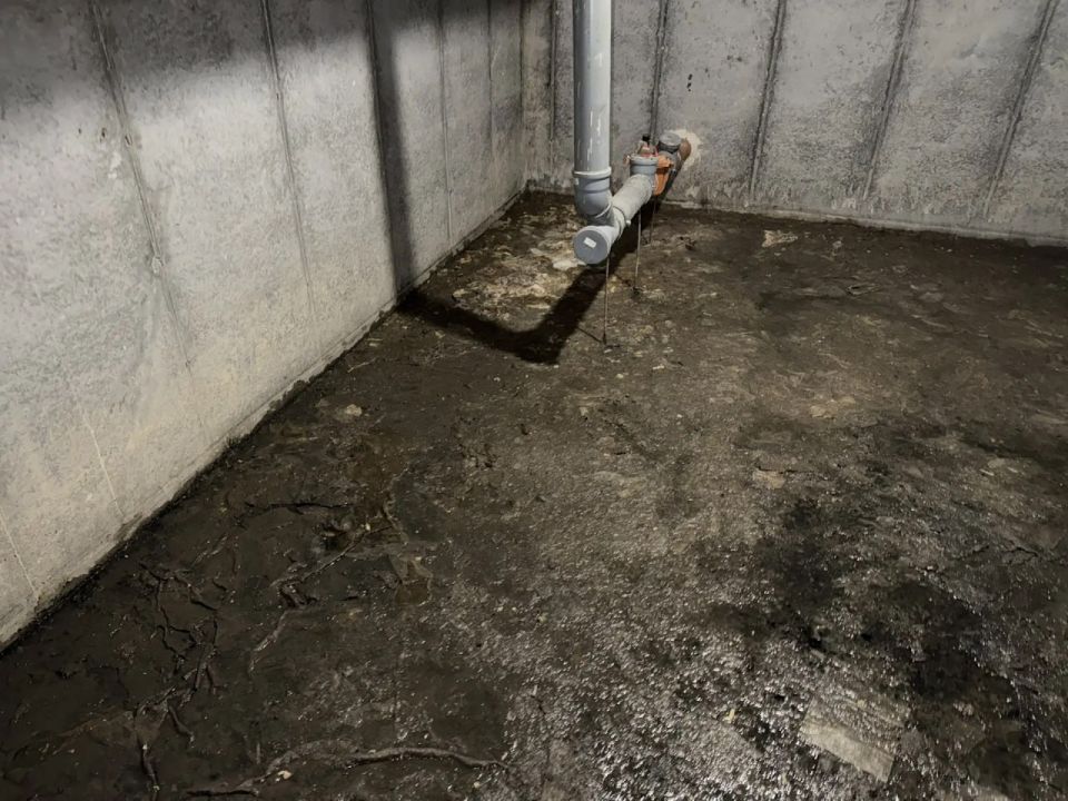 ���� �����, � �������� ������