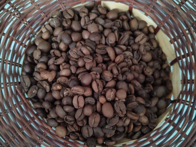 ����������� ������� �������� � ����