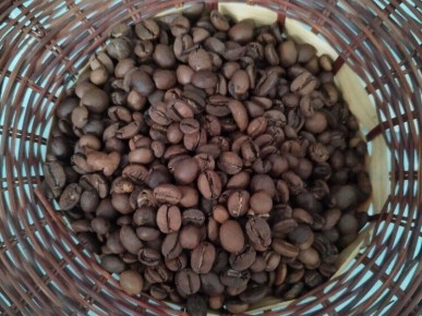 ����������� ������� �������� � ����