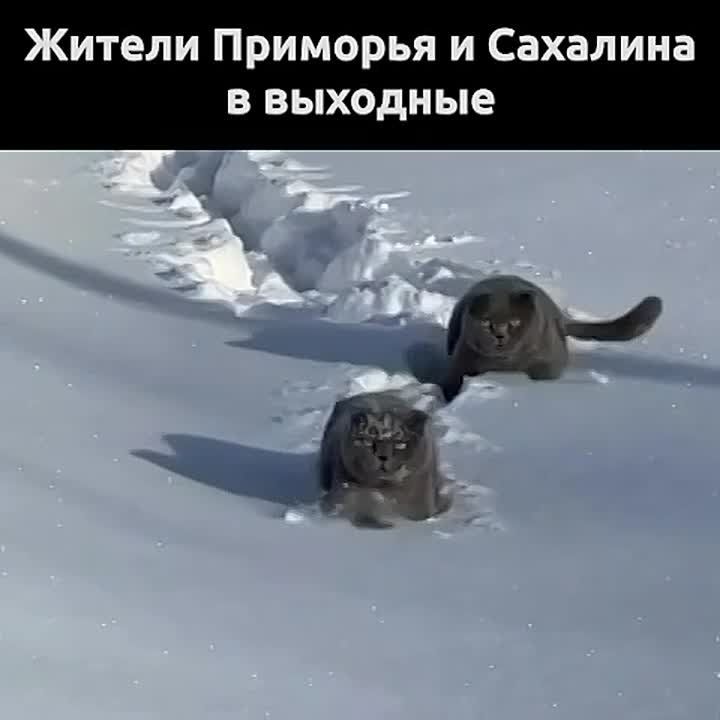 �������� � ������� ������� ������