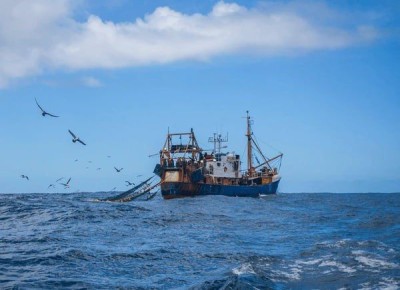 � ������-��������� ����� ����� ���������� ������ ������� ����������� �����