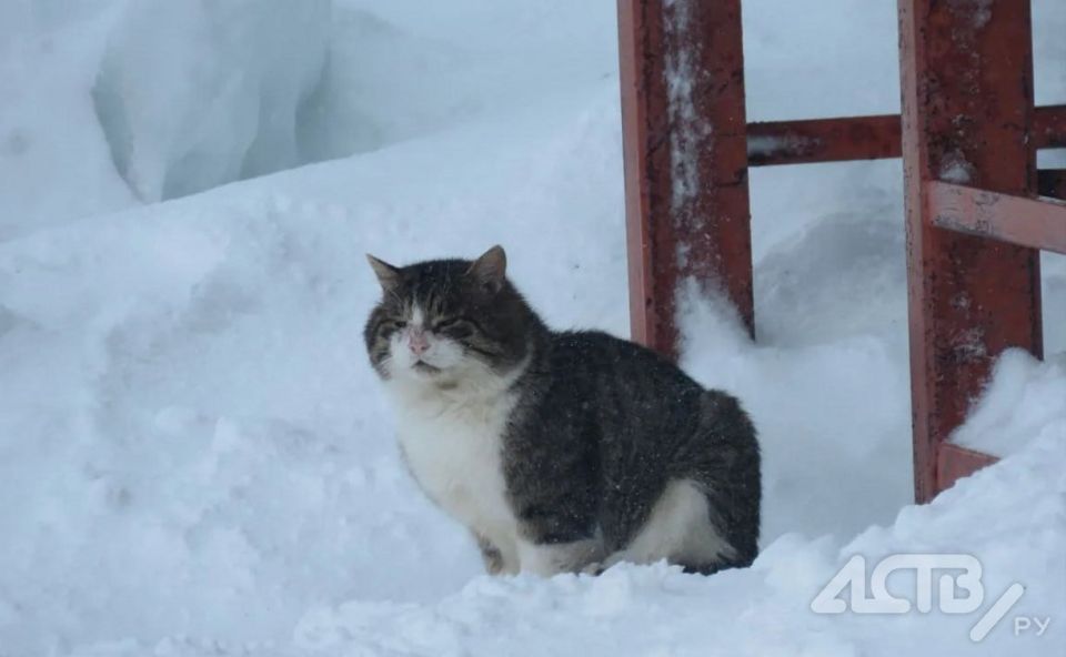 ���������� ������ �������� �� ��������: ����� �������� � ������ �� ��������� ������