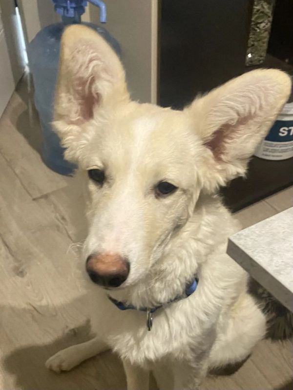 ����� ������ ������� ���������� ������ �� ��������� ������