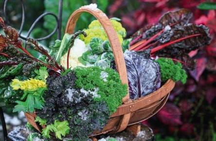 ��� ������������ ������� ������� � ������� ��� �������� � ��������