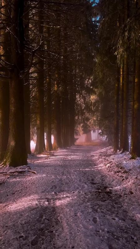 ������ ����!. ������� ���� ������������� ��� � ���� ���� �������� ����� ������� ������� (1920 � 1979), ������� ������ (1982), ����� �������� (1981) � ������� ��������� (1947), ��������� ���� �������� (1959) � �������� �����...