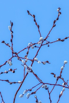 � ����-���������� ������������ �����